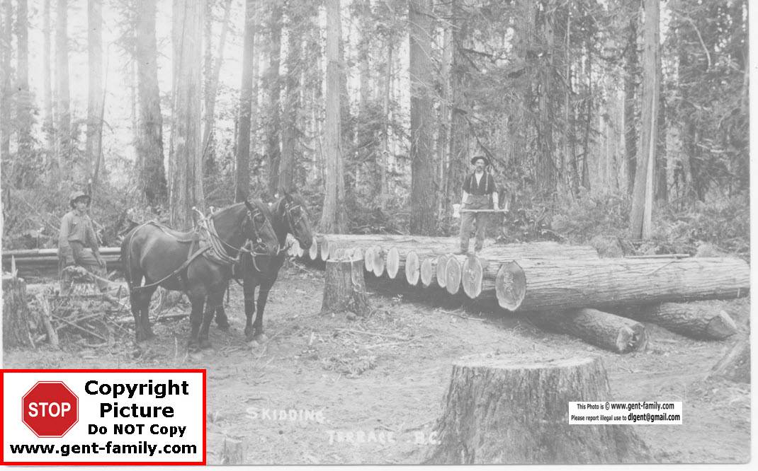 Terrace BC Logging Pictures